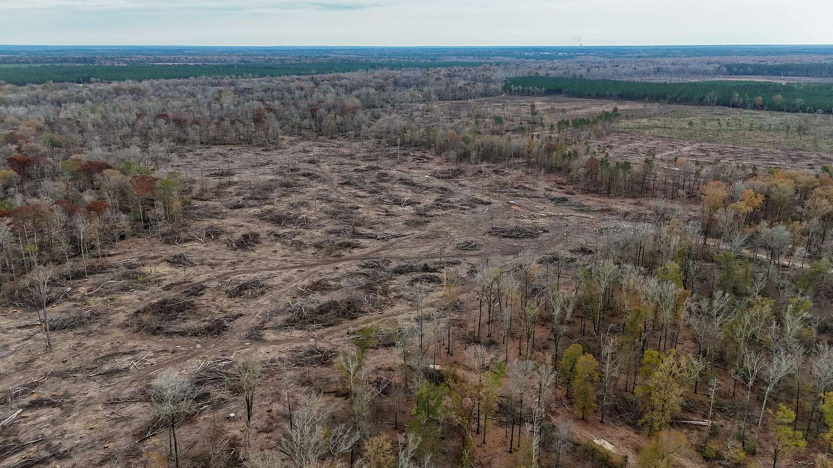 121 Acres of Recreational Land for Sale in Rison, Arkansas