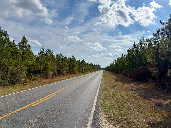 48 Acres of Recreational Land for Sale in Baxley, Georgia