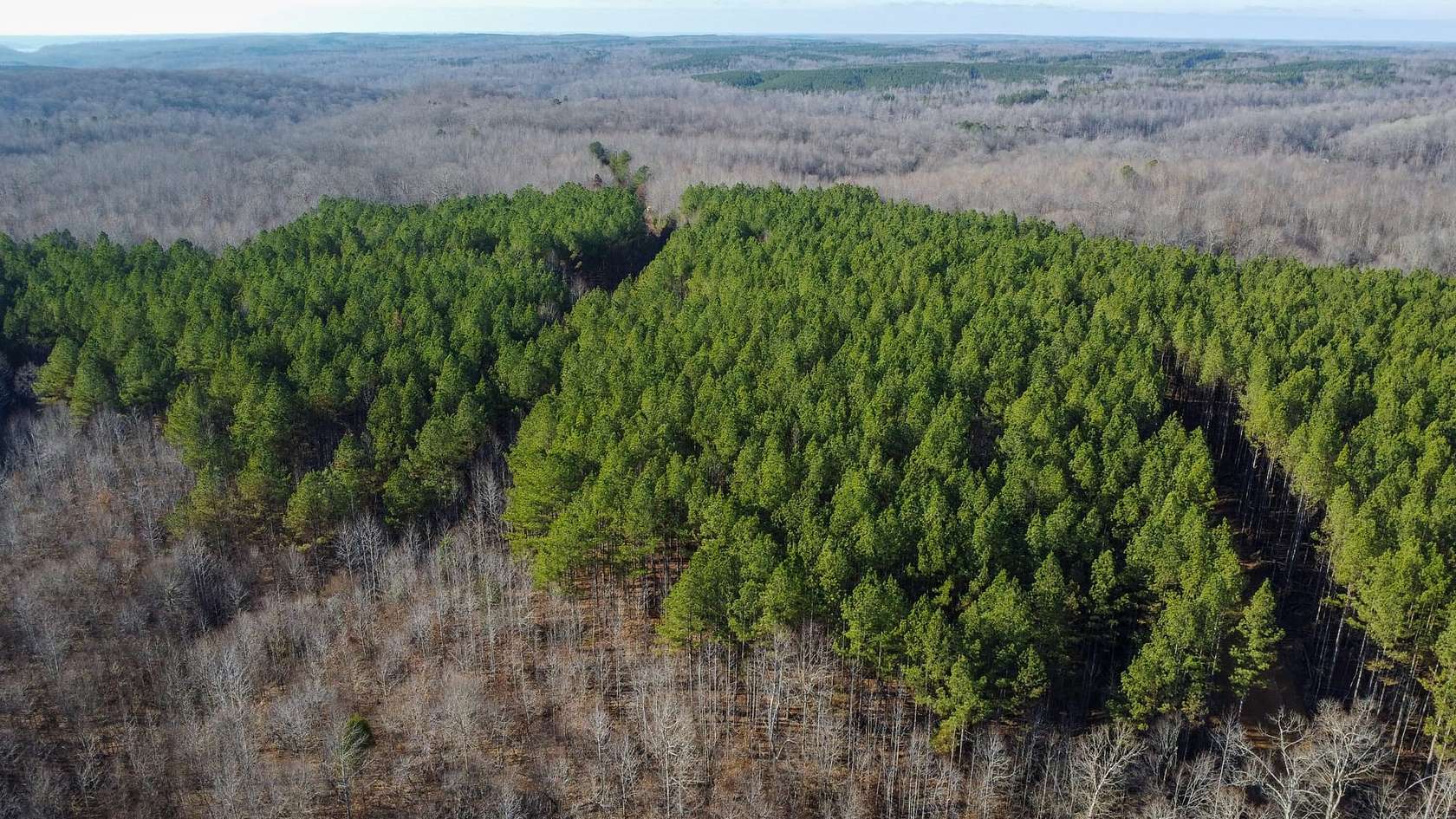 354 Acres of Recreational Land for Sale in Stewart, Tennessee