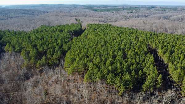 354 Acres of Recreational Land for Sale in Stewart, Tennessee