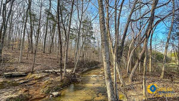 86 Acres of Recreational Land for Sale in Parsons, Tennessee