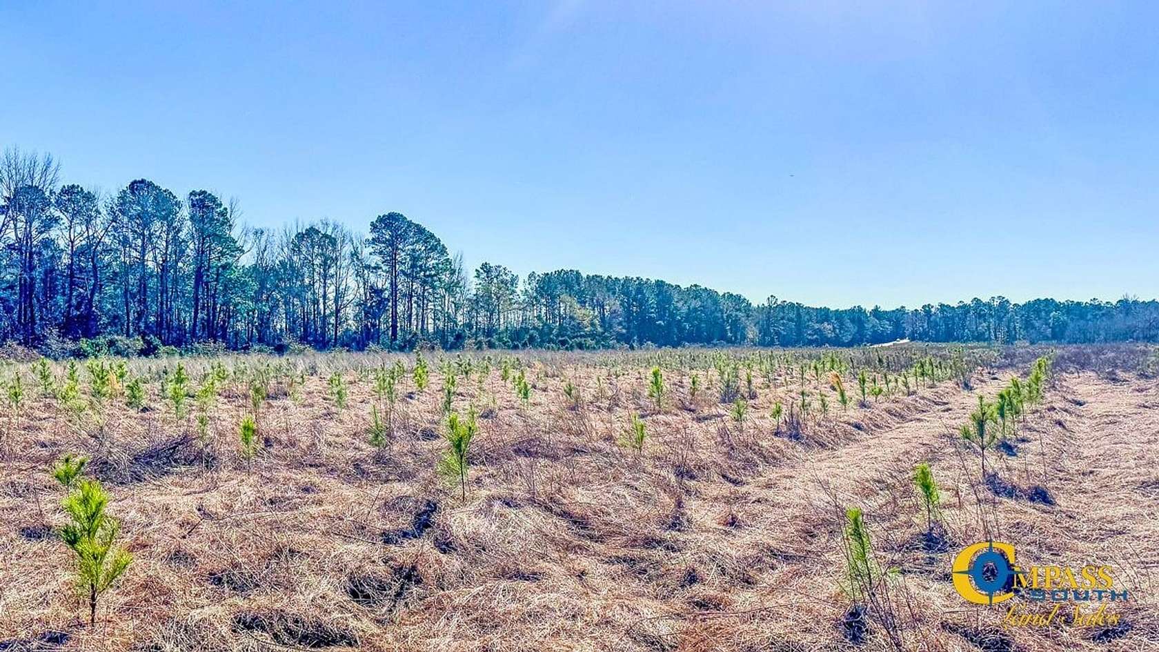 7 Acres of Recreational Land for Sale in Statesboro, Georgia