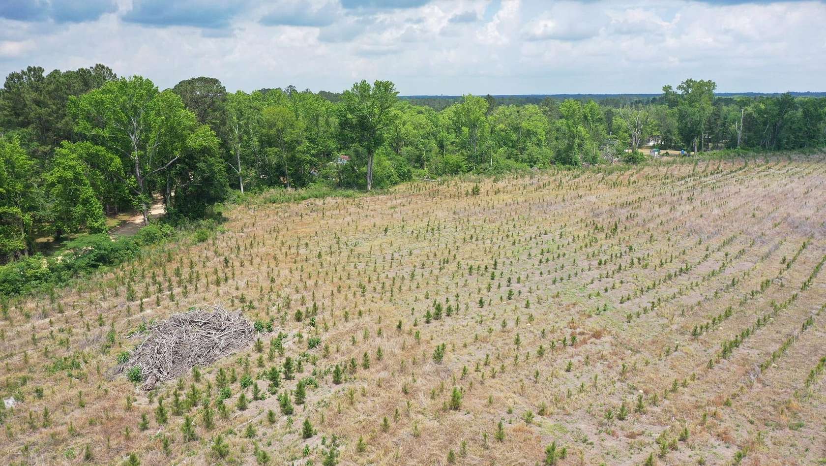 7 Acres of Recreational Land for Sale in Statesboro, Georgia