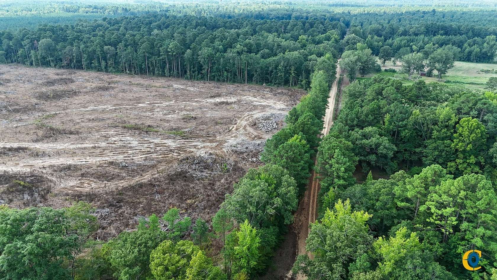 20 Acres of Recreational Land for Sale in Rock Springs, Arkansas