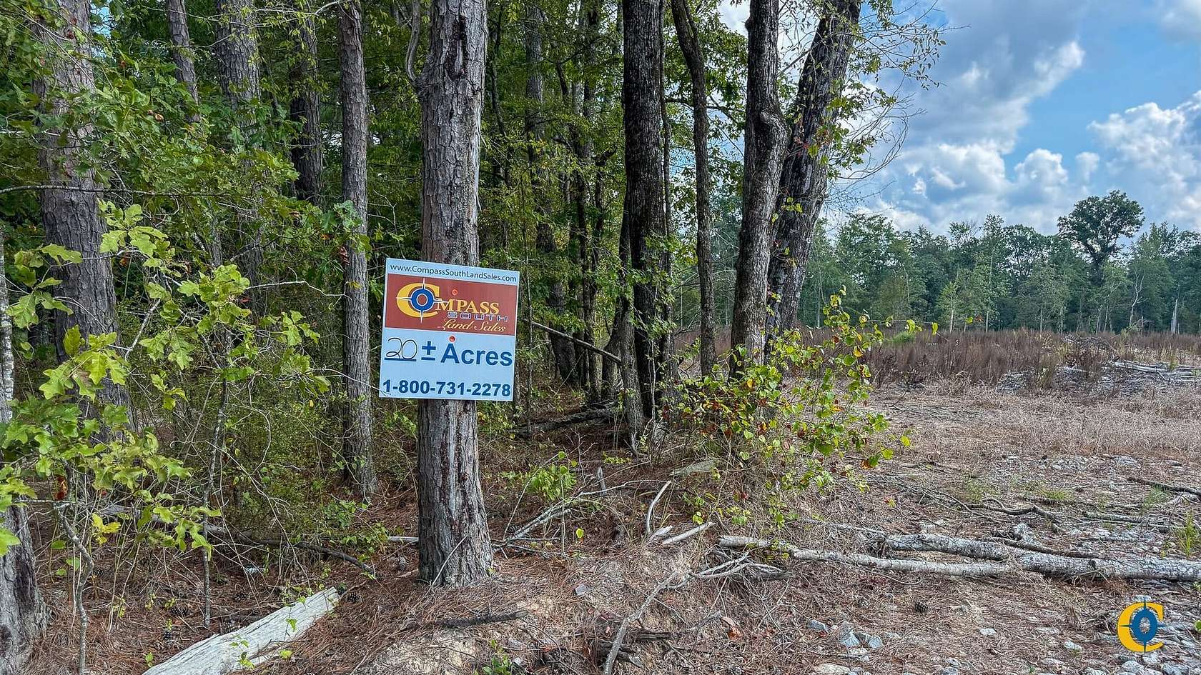 20 Acres of Recreational Land for Sale in Rock Springs, Arkansas