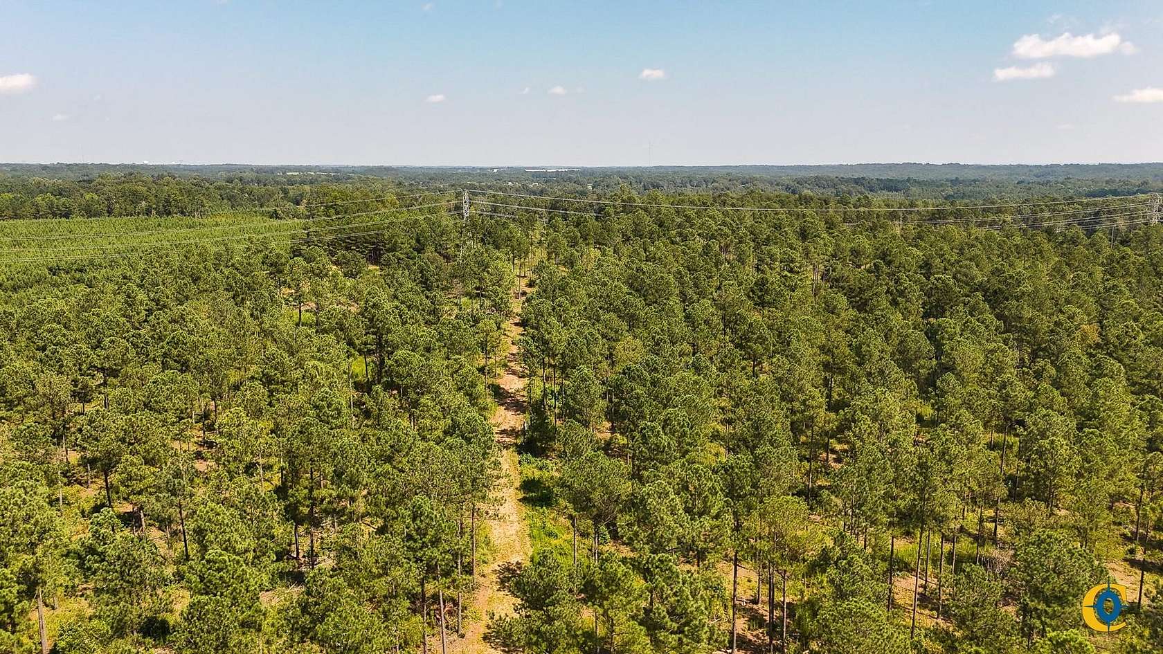 88 Acres of Recreational Land for Sale in Buffalo, South Carolina