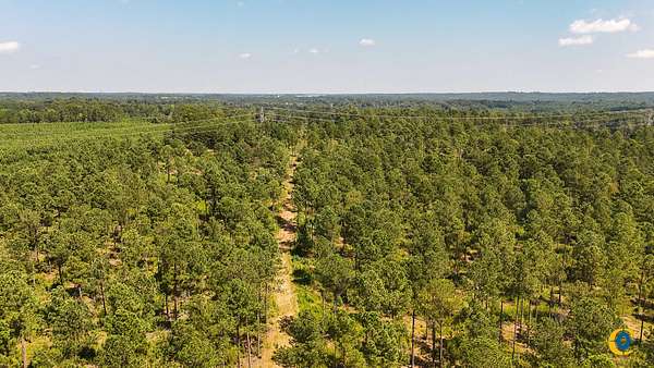88 Acres of Recreational Land for Sale in Buffalo, South Carolina