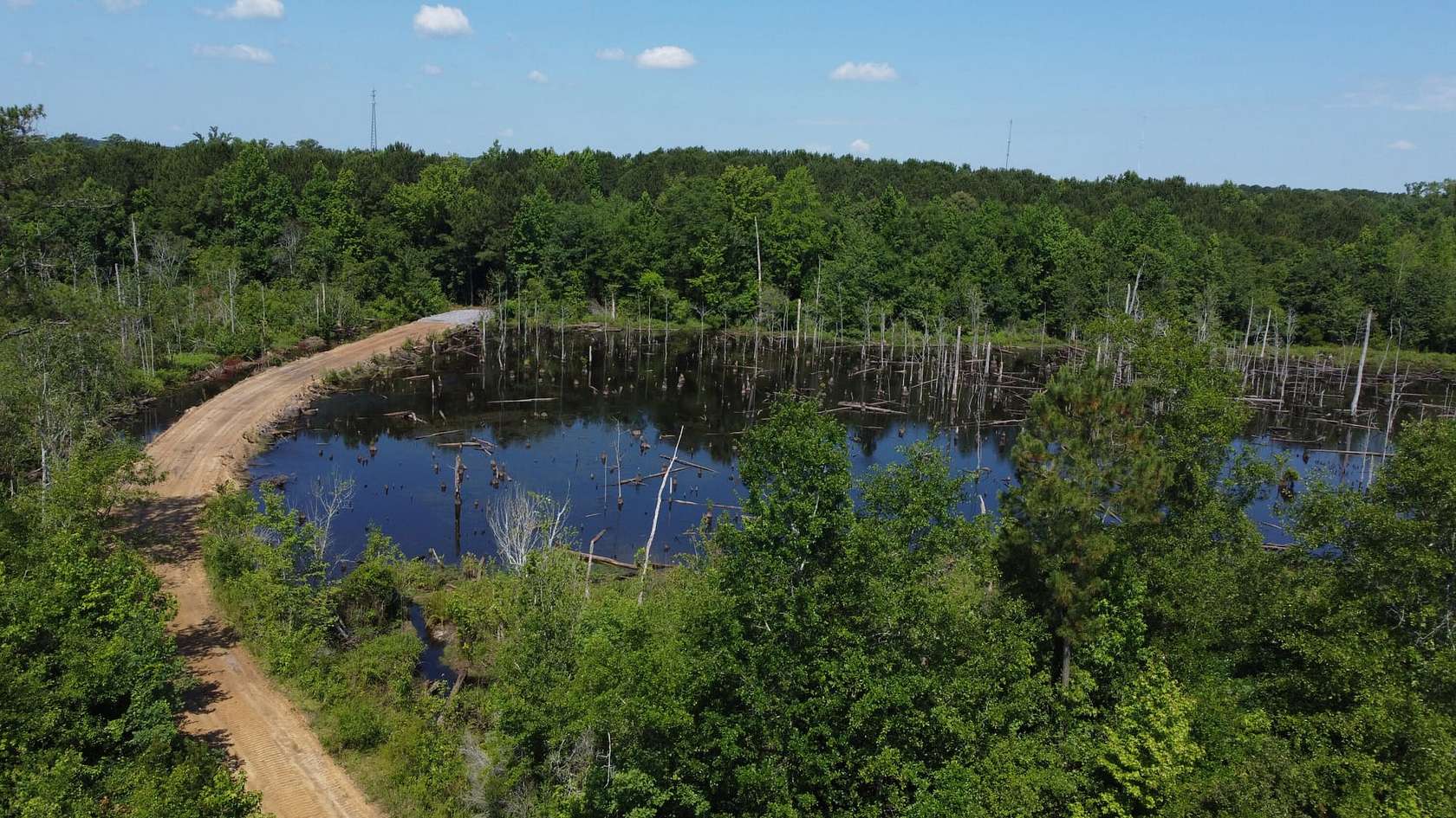 256 Acres of Recreational Land for Sale in Lumberton, North Carolina