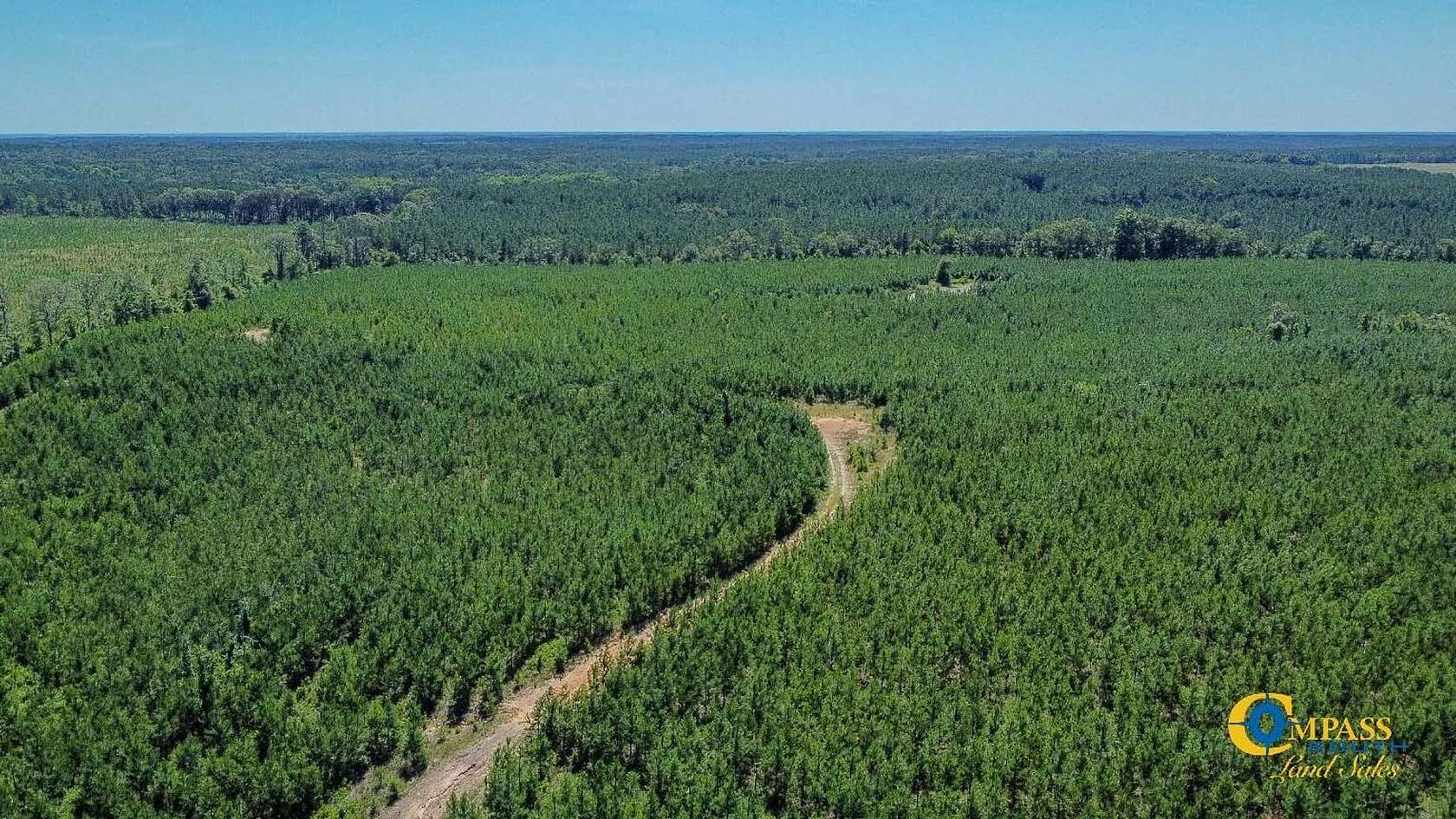89 Acres of Recreational Land for Sale in Butler, Georgia