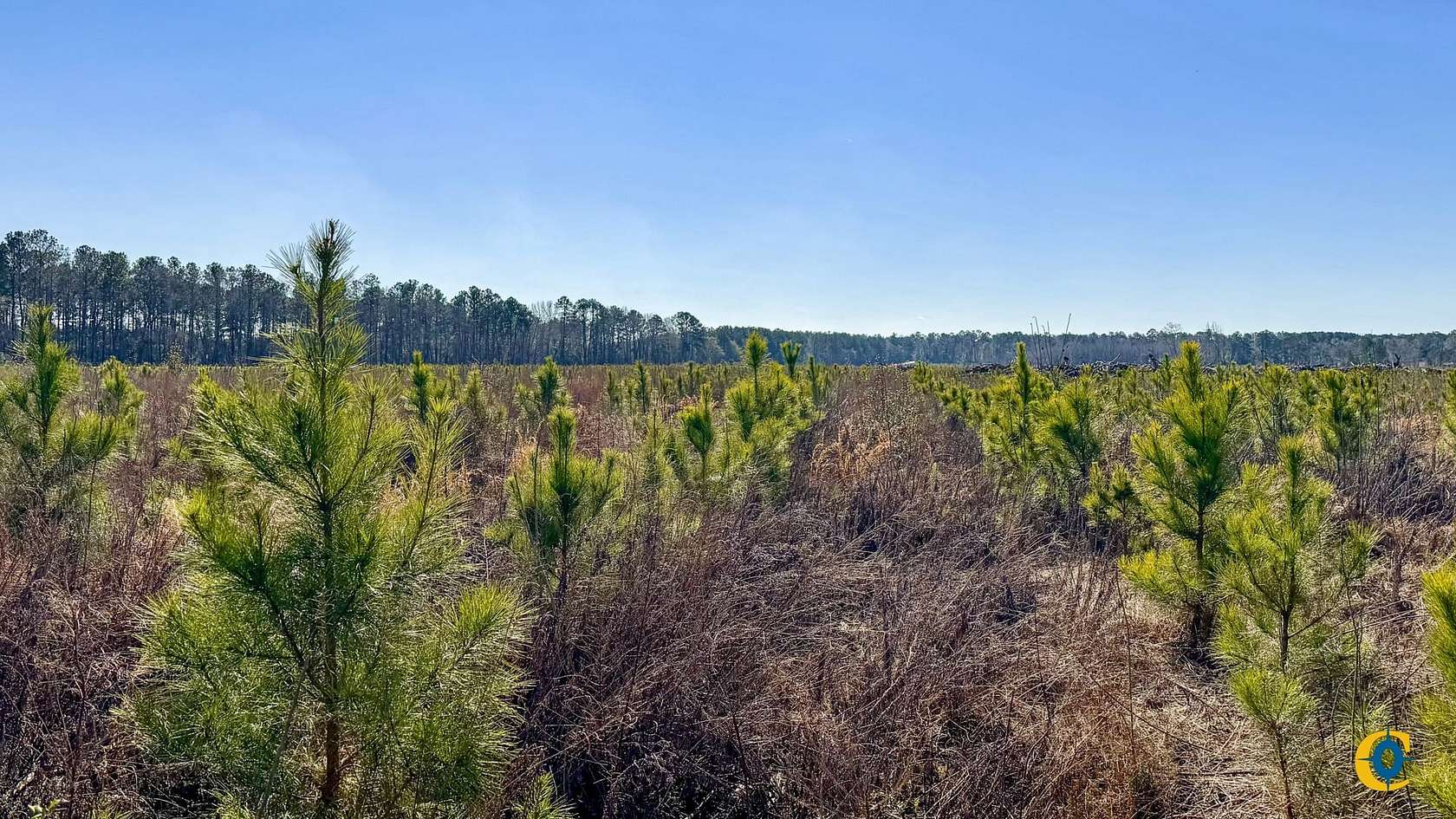 10 Acres of Recreational Land for Sale in Statesboro, Georgia