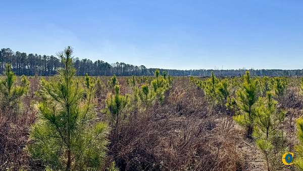 10 Acres of Recreational Land for Sale in Statesboro, Georgia