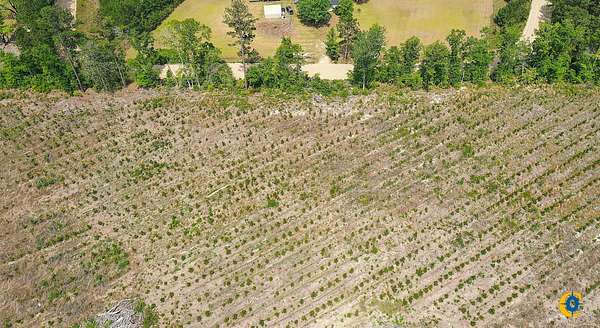 10 Acres of Recreational Land for Sale in Statesboro, Georgia