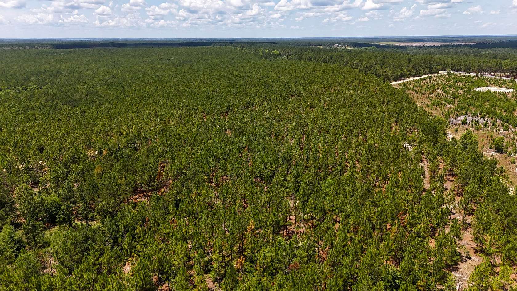 24 Acres of Recreational Land for Sale in Cassatt, South Carolina