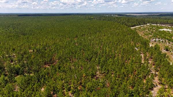 24 Acres of Recreational Land for Sale in Cassatt, South Carolina