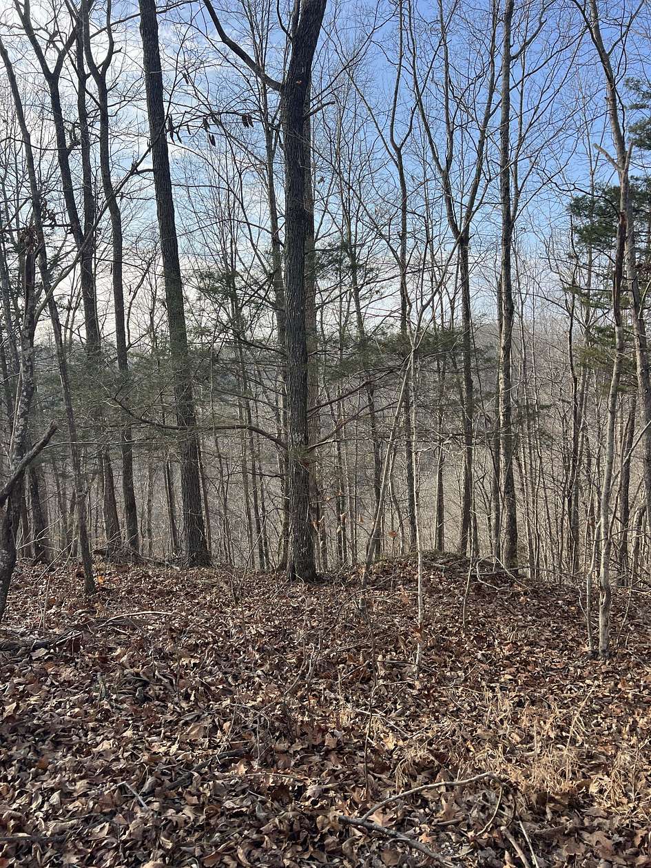 5 Acres of Residential Land for Auction in Celina, Tennessee