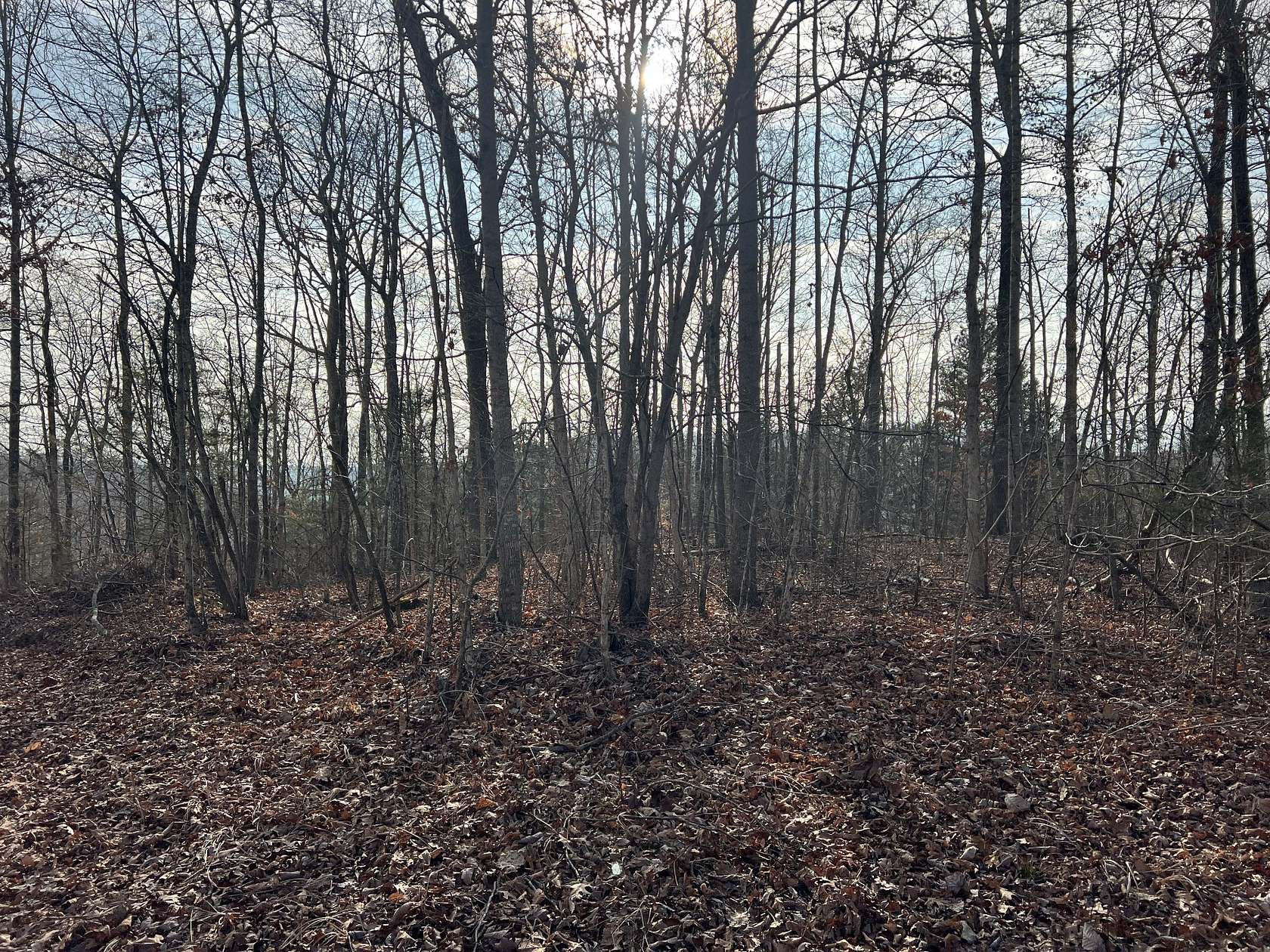 5 Acres of Residential Land for Auction in Celina, Tennessee