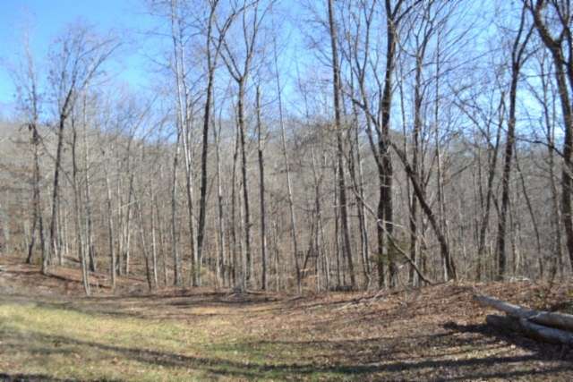 10.9 Acres of Land for Sale in Jamestown, Tennessee