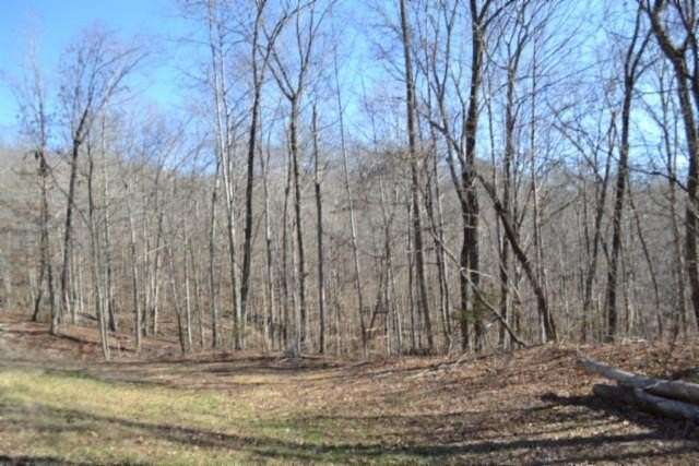 10.9 Acres of Land for Sale in Jamestown, Tennessee