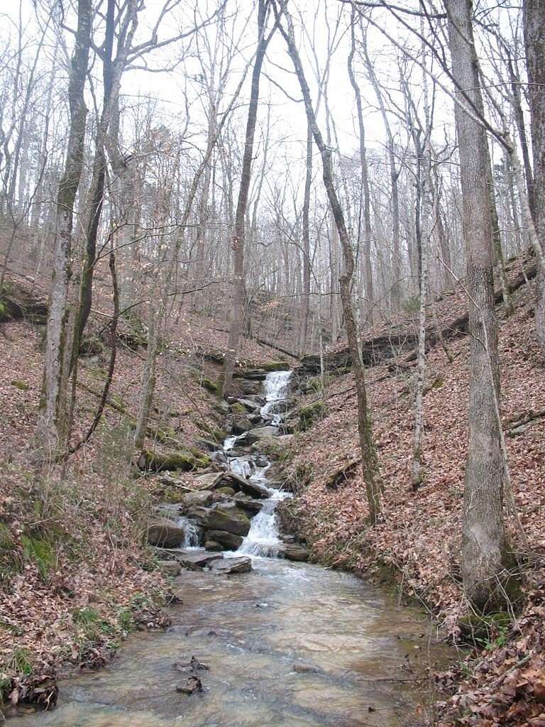 10.9 Acres of Land for Sale in Jamestown, Tennessee