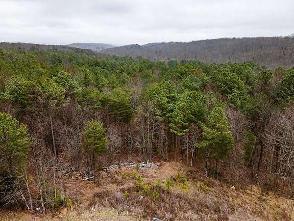 15.9 Acres of Land for Sale in Spencer, Tennessee