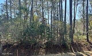0.44 Acres of Residential Land for Sale in Supply, North Carolina