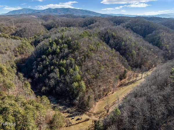 21.4 Acres of Land for Sale in Watauga, Tennessee