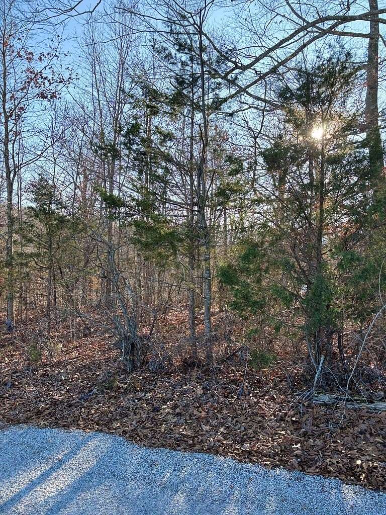 Land for Sale in Allons, Tennessee