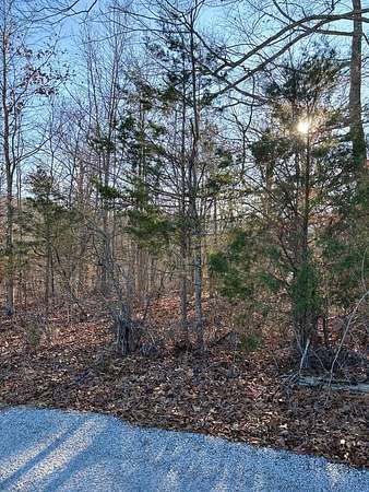 Land for Sale in Allons, Tennessee