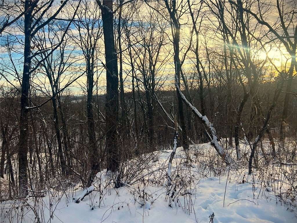 65 Acres of Recreational Land for Sale in Melrose, Wisconsin