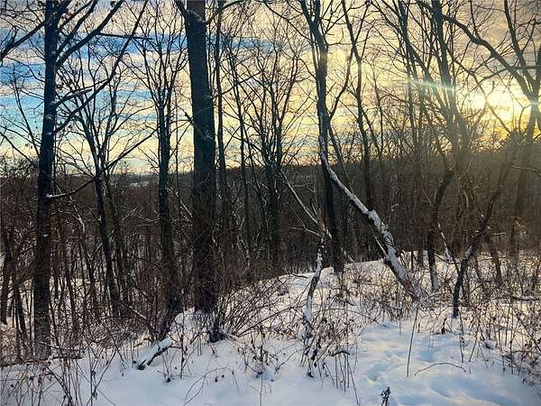 65 Acres of Recreational Land for Sale in Melrose, Wisconsin