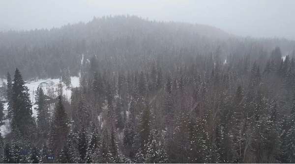 44.6 Acres of Recreational Land for Sale in De Borgia, Montana