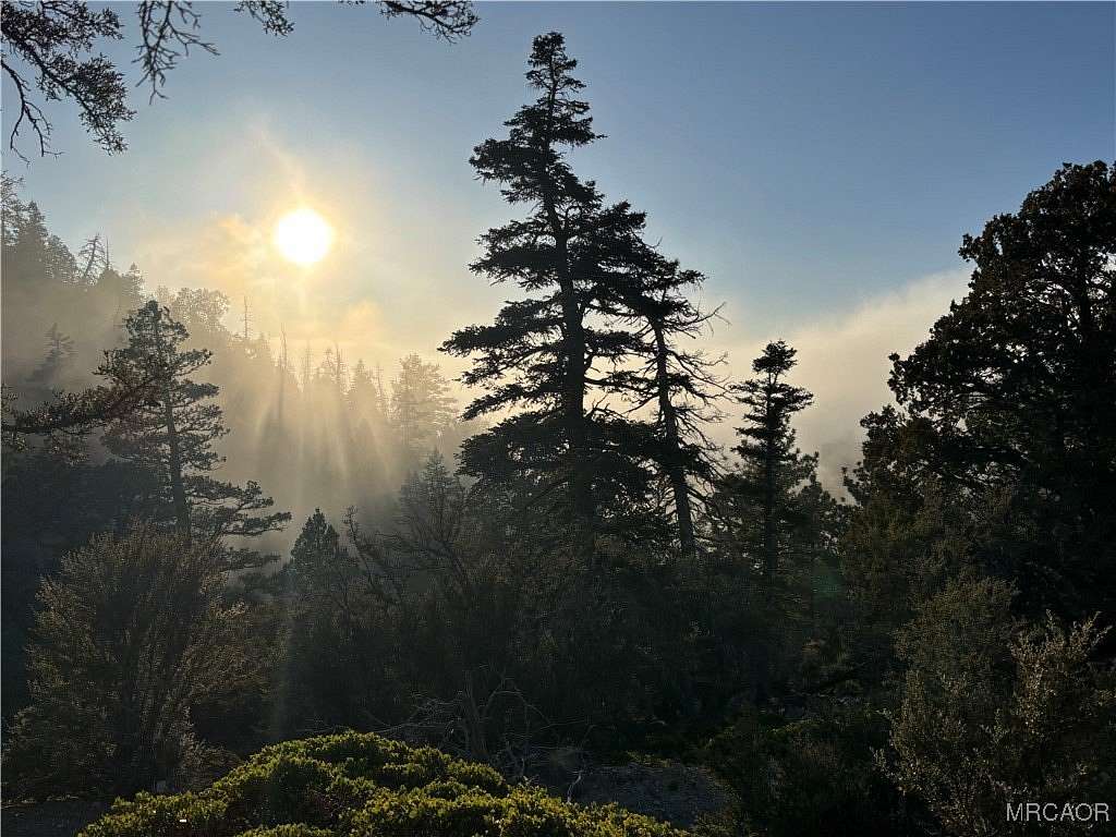 5 Acres of Land for Sale in Angelus Oaks, California