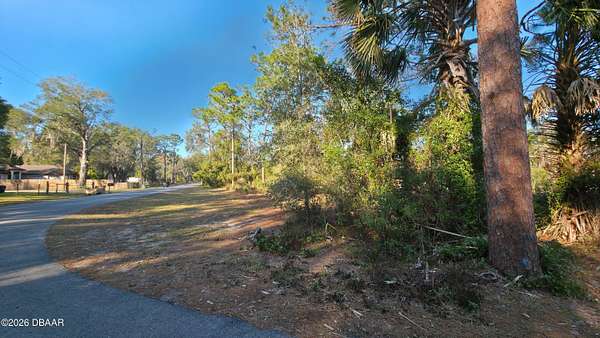 0.46 Acres of Residential Land for Sale in Paisley, Florida