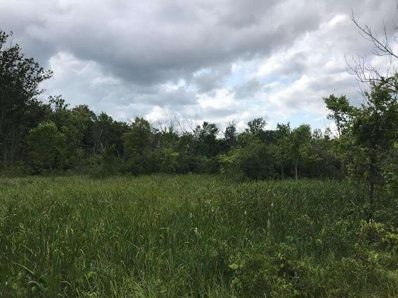 18.3 Acres of Recreational Land for Sale in Cedar Springs, Michigan