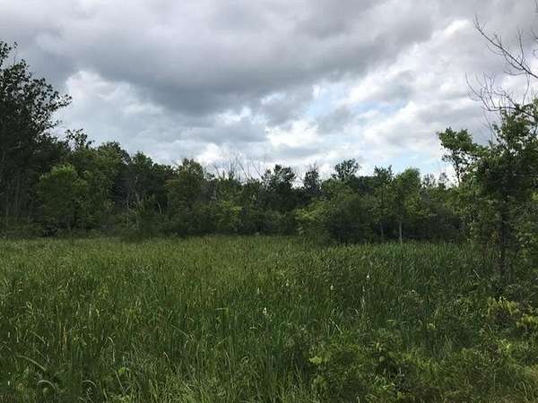 18.3 Acres of Recreational Land for Sale in Cedar Springs, Michigan