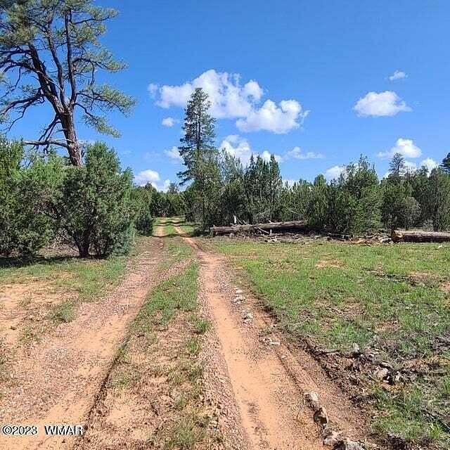 7.6 Acres of Improved Mixed-Use Land for Sale in Overgaard, Arizona