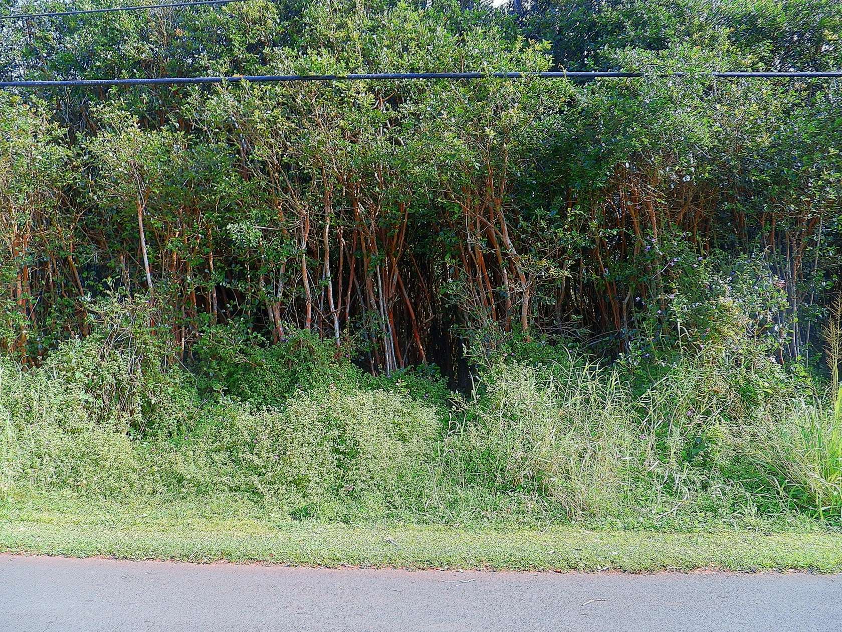 0.19 Acres of Residential Land for Sale in Pahoa, Hawaii
