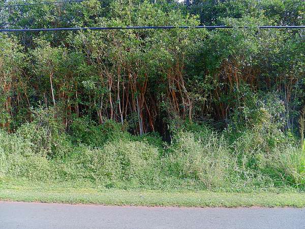 0.19 Acres of Residential Land for Sale in Pahoa, Hawaii