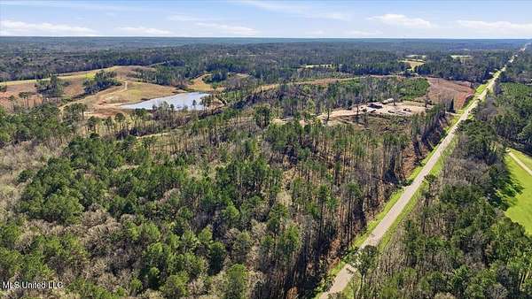 5 Acres of Residential Land for Sale in Mendenhall, Mississippi