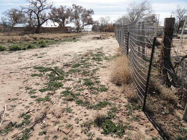 2.1 Acres of Land for Sale in Peralta, New Mexico