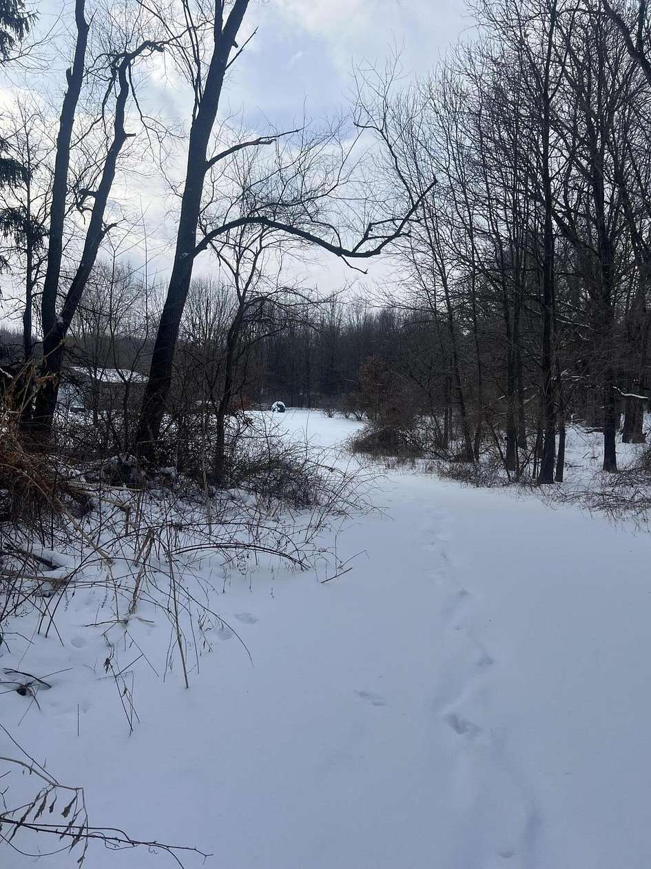 25 Acres of Recreational Land for Sale in Albion, Michigan