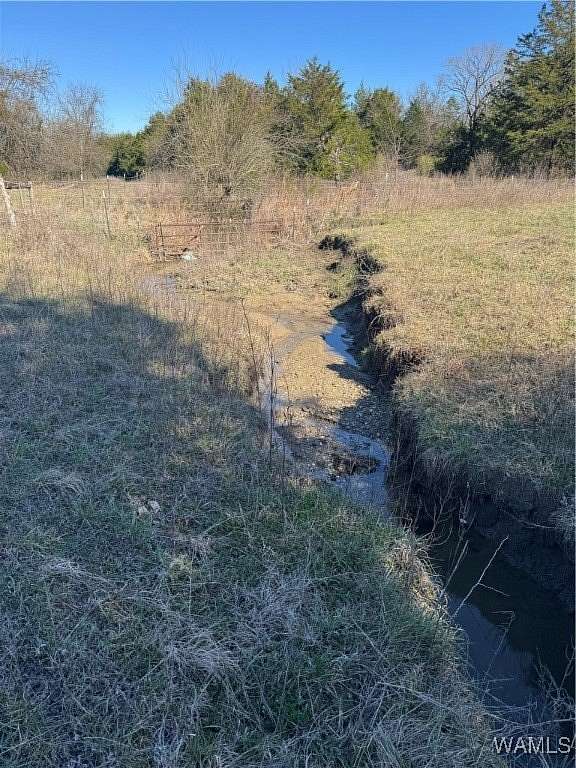 79 Acres of Agricultural & Residential Land for Sale in Epes, Alabama