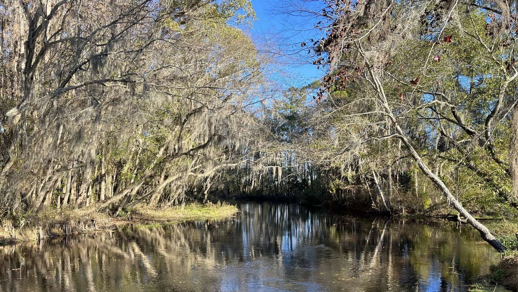 274 Acres of Recreational Land for Sale in Lumberton, North Carolina