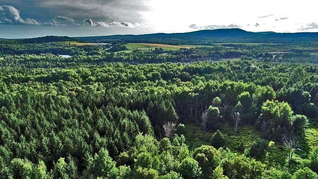 77.4 Acres of Recreational Land & Farm for Sale in Linneus, Maine