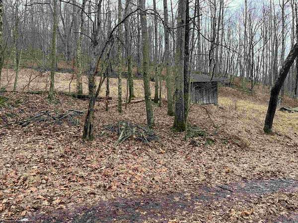 20.1 Acres of Recreational & Residential Land for Sale in Volga, West Virginia