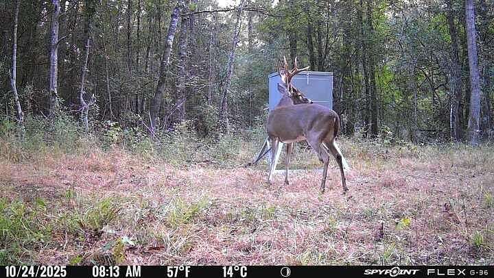 103 Acres of Recreational Land for Sale in Kirbyville, Texas