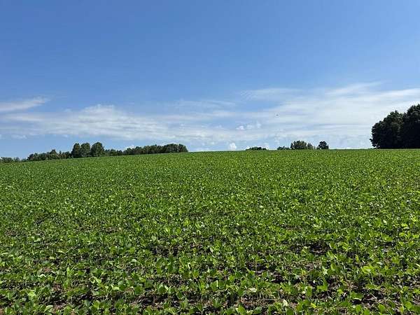 84.2 Acres of Land for Sale in Baskerville, Virginia