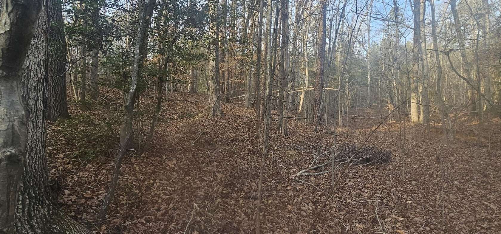 4 Acres of Residential Land for Sale in Pauline, South Carolina