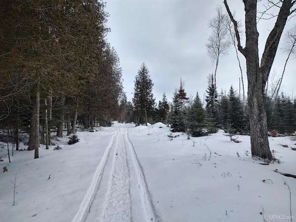 121 Acres of Recreational Land for Sale in Rapid River, Michigan