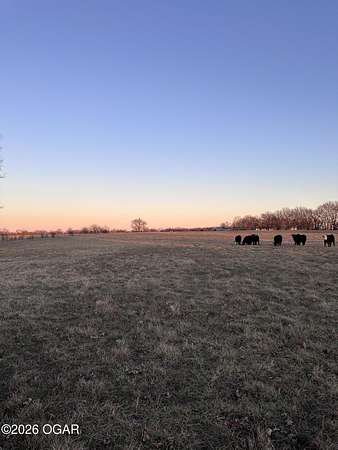 15 Acres of Land for Sale in Carthage, Missouri